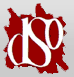 Diverse Strategies for Organizing (DSO)